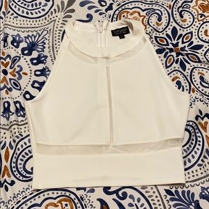 Topshop White Mesh Cut-Out Crop Top
